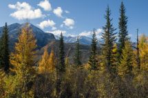 Путешествие к побережью Охотского моря