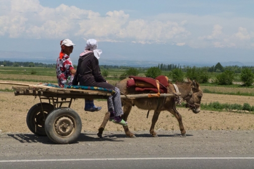 Местное население в равнинной части Таджикистана