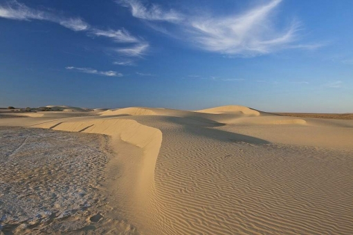 Тур в Узбекистан. Пустыня Кызылкум - одна из крупнейших в мире