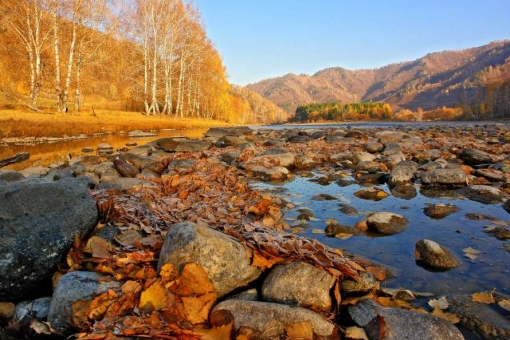 Осенние краски на Алтае