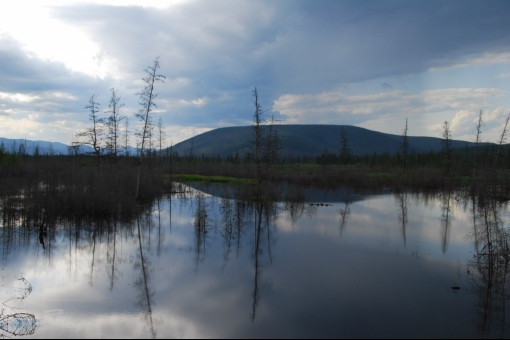 Трасса Колыма, заболоченые участки тундры