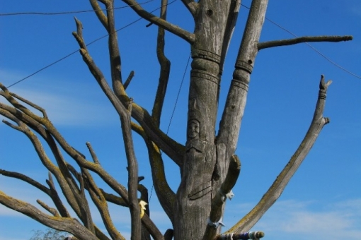 Шаман дерево