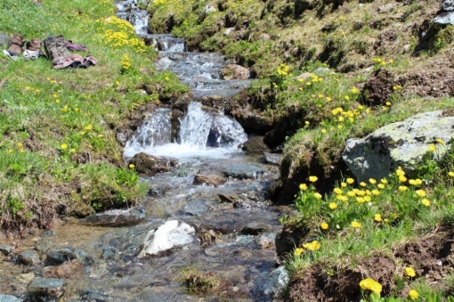 Катунский хребет, ручей в верховьях Катуни