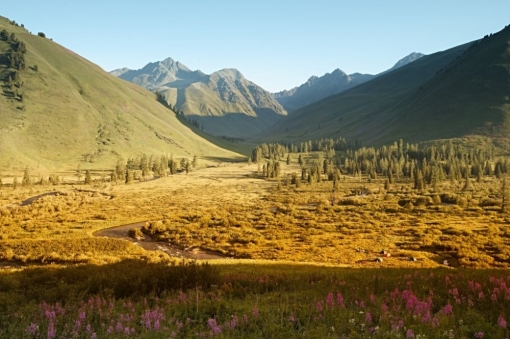 Алтай. Катунский хребет живописная долина