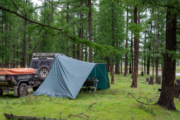 Алтай. Палаточный лагерь в лиственничном лесу