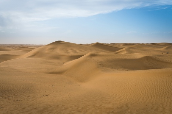 Трансазиатская экспедиция 2020. Пустыня Каракумы - море песка