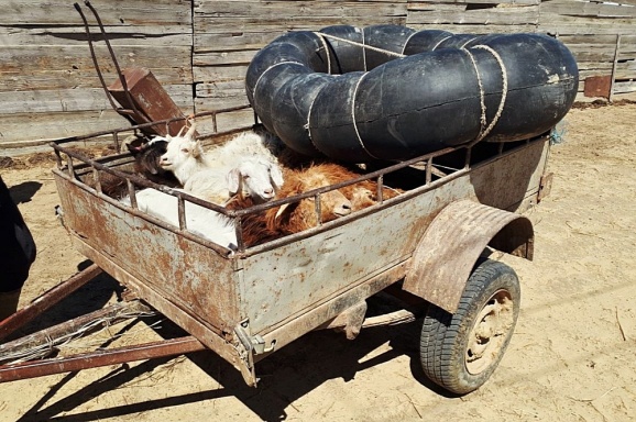 Побережье Аральского моря