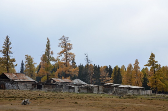 Осенний тур в Восточный Казахстан