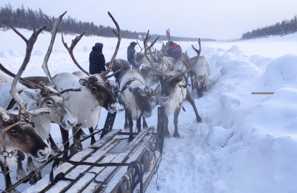 Якутия, встреча с оленеводами на реке Анабар