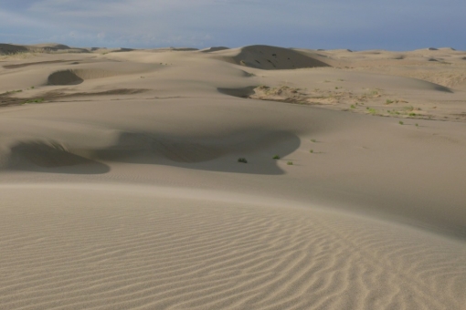 Песчаный массив Монгол-Элс